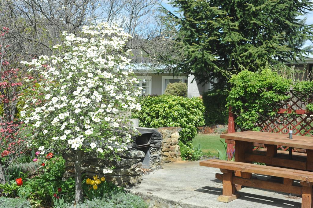 Alexandra Garden Court Motel Zewnętrze zdjęcie